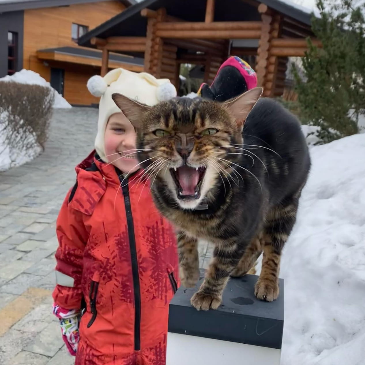 Instagram дружини